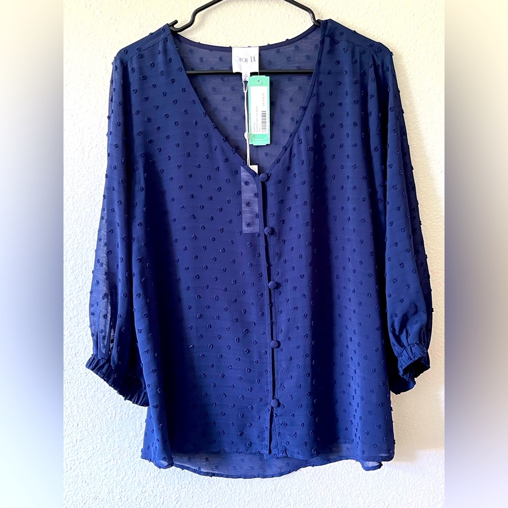 NWT Gray LA Blue Cleandra Swiss Dot Blouse